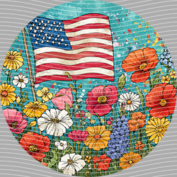 USA-MG 3833
